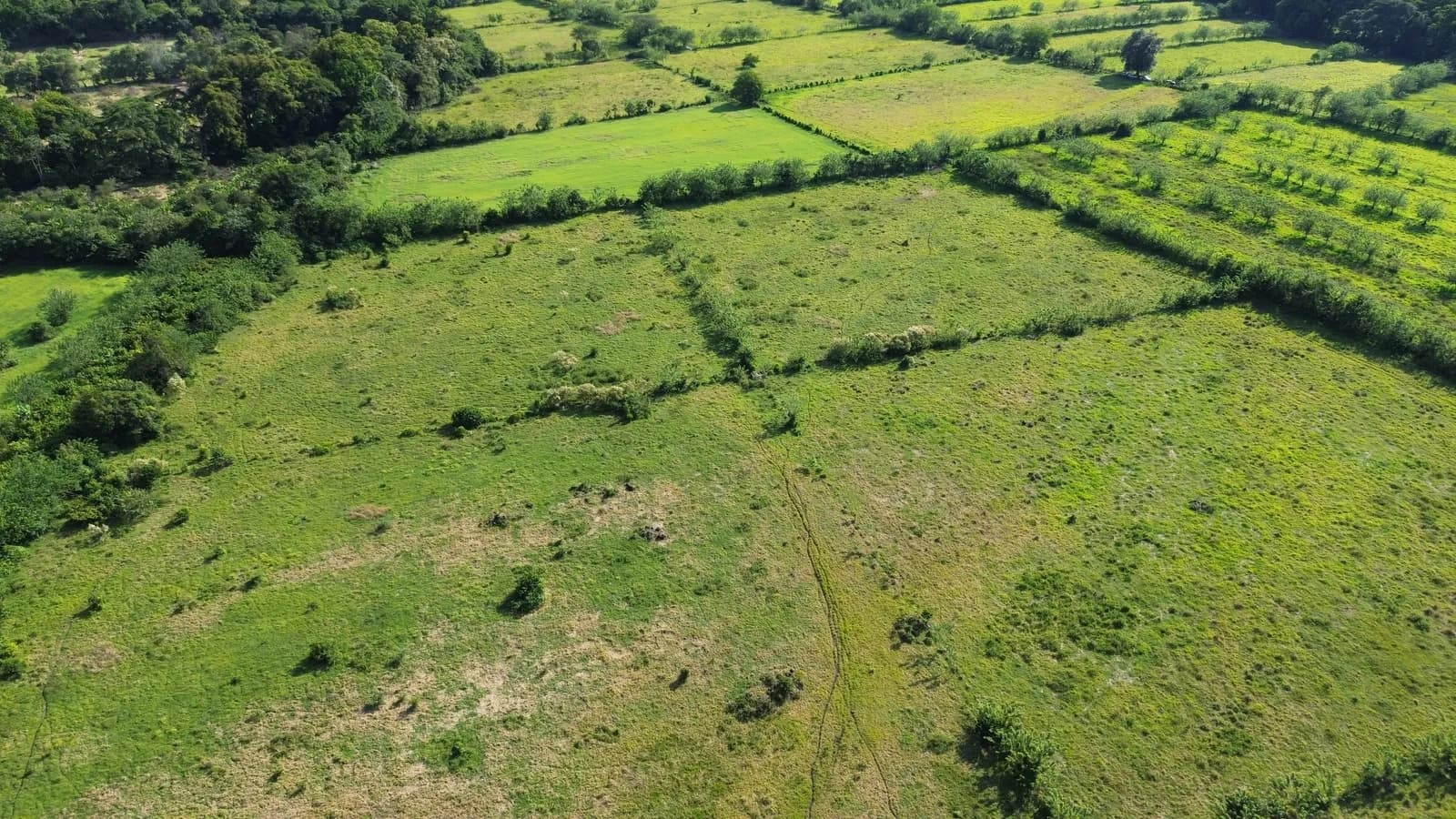 Predio agrícola apto para un proyecto solar